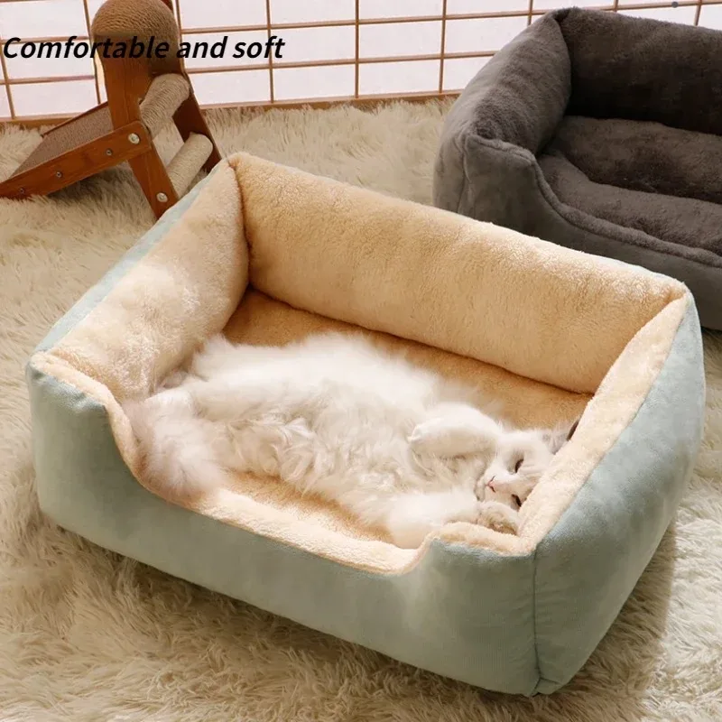 Cama para gatos, productos para mascotas, cojines, artículos para gatitos, accesorios para perros, todas las casas, suministros, cosas, accesorios, hábitats, cesta, camas para casa Cama para gatos, productos para mascotas, cojines, artículos para gatitos, accesorios para perros, todas las casas, suministros, cosas, accesorios, hábitats, cesta, camas para casa