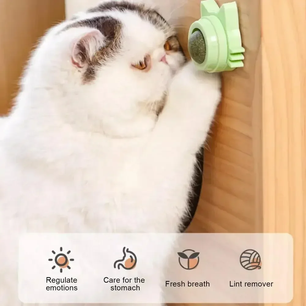 Bolas de hierba gatera divertidas y lickables para gatos, bolas de hierba gatera para jugar a masticar, limpieza de dientes, juguete para gatos pequeños y medianos, suministros para mascotas Bolas de hierba gatera divertidas y lickables para gatos, bolas de hierba gatera para jugar a masticar, limpieza de dientes, juguete para gatos pequeños y medianos, suministros para mascotas