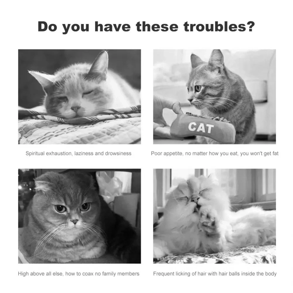 Juguetes de hierba gatera para mascotas, Bola de hierba gatera comestible, seguridad, gato saludable, menta, gatos, juego de persecución en casa, productos de juguete, dientes limpios, bola de menta para gatos