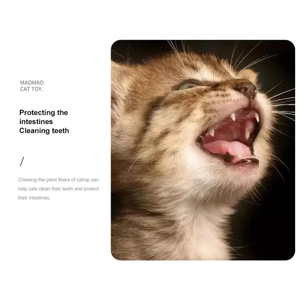 Juguetes de hierba gatera para mascotas, Bola de hierba gatera comestible, seguridad, gato saludable, menta, gatos, juego de persecución en casa, productos de juguete, dientes limpios, bola de menta para gatos