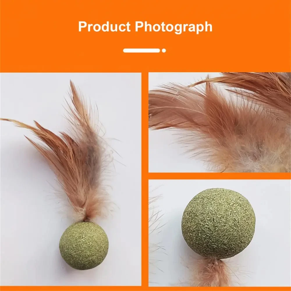 Juguetes de hierba gatera para mascotas, Bola de hierba gatera comestible, seguridad, gato saludable, menta, gatos, juego de persecución en casa, productos de juguete, dientes limpios, bola de menta para gatos