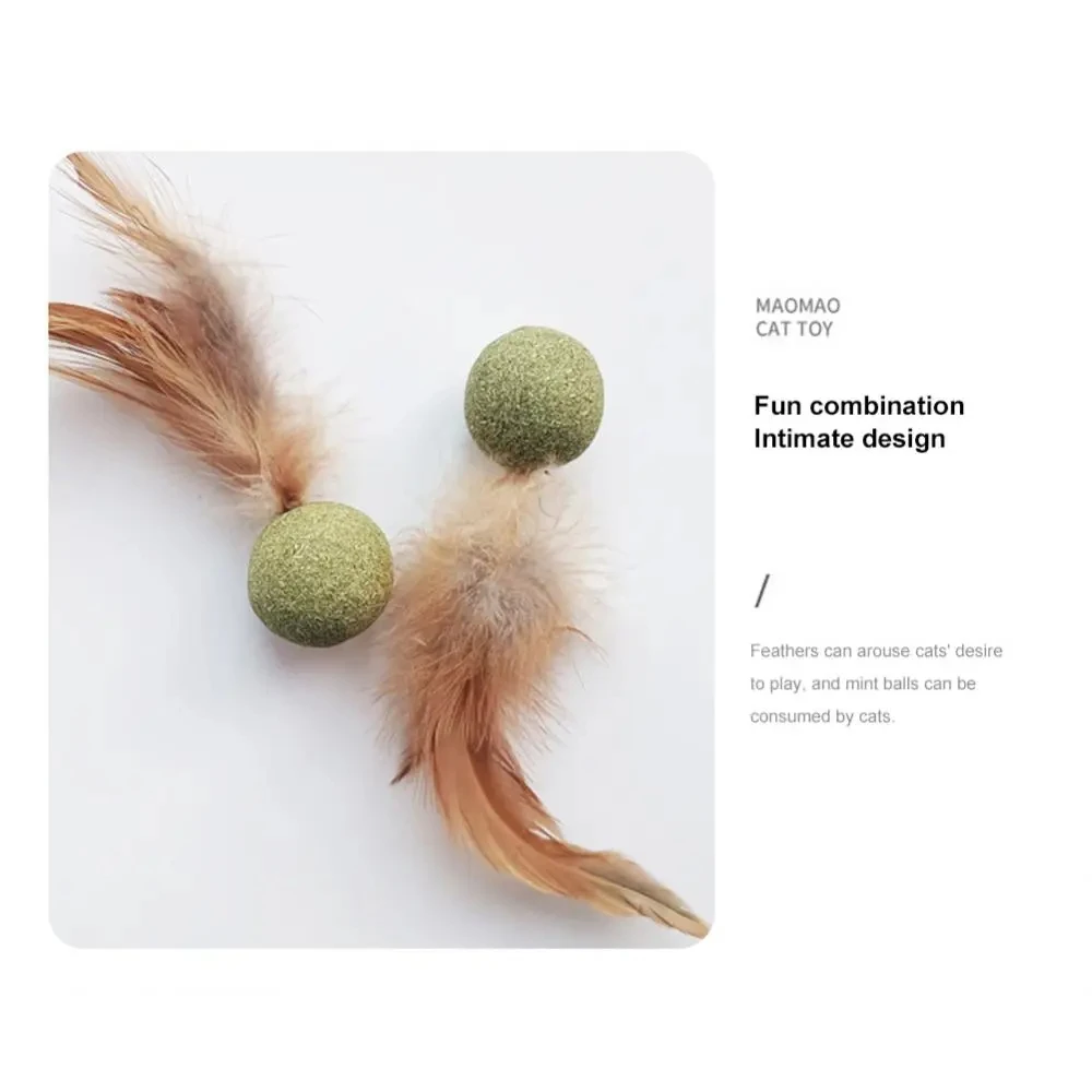 Juguetes de hierba gatera para mascotas, Bola de hierba gatera comestible, seguridad, gato saludable, menta, gatos, juego de persecución en casa, productos de juguete, dientes limpios, bola de menta para gatos