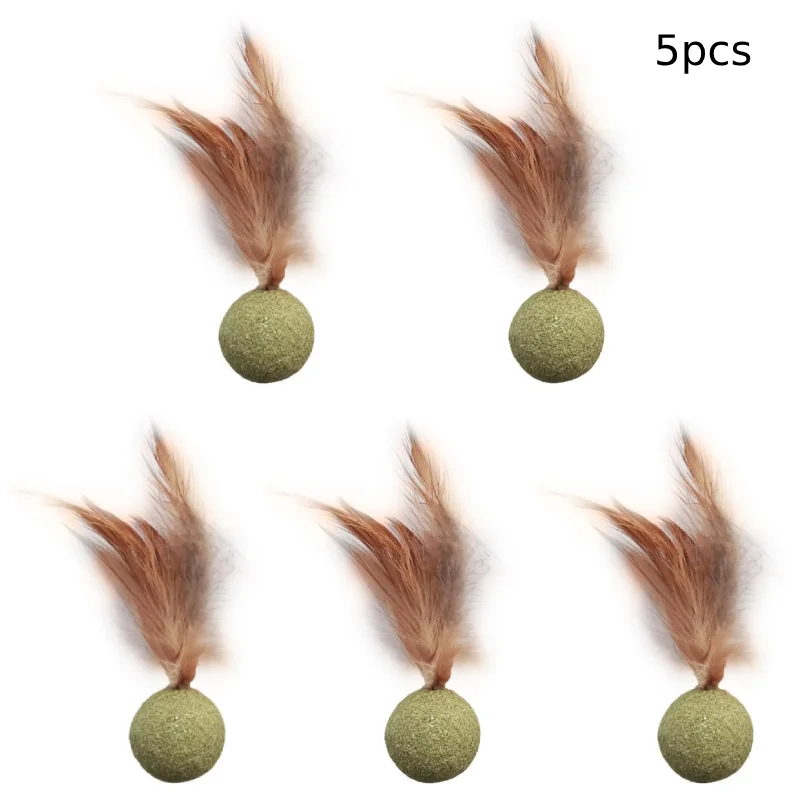 5pcs