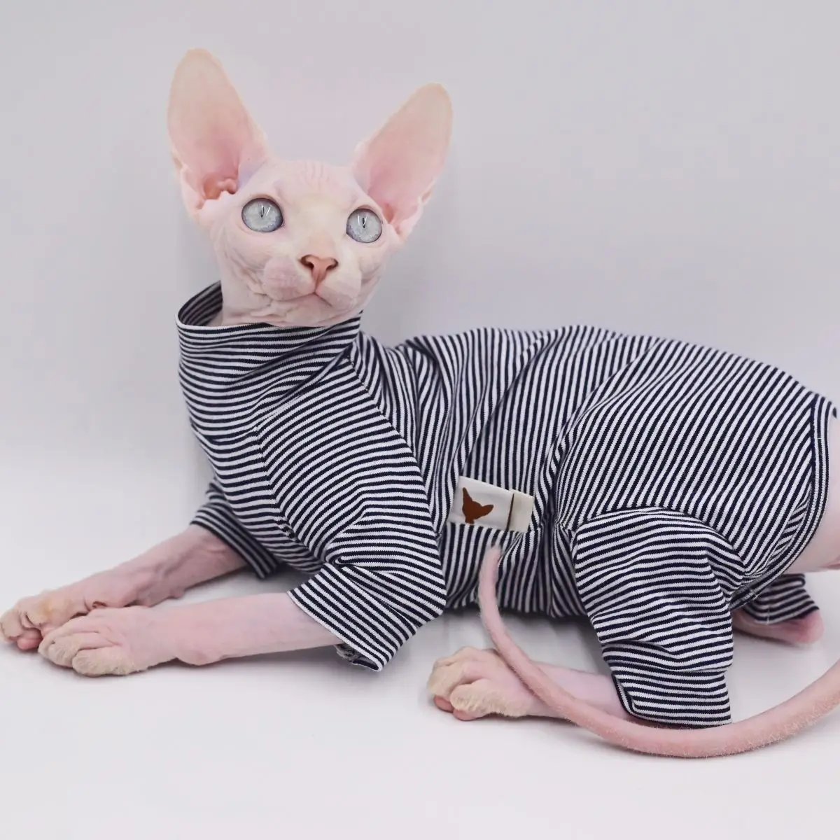 Sphynx ropa para gatos ocio raya 4 patas algodón cómodo sin pelo trajes para gatos suave invierno cálido Devon Kornish ropa para gatos