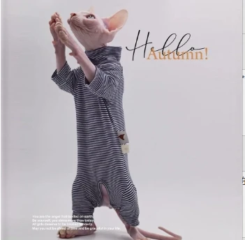 Sphynx ropa para gatos ocio raya 4 patas algodón cómodo sin pelo trajes para gatos suave invierno cálido Devon Kornish ropa para gatos