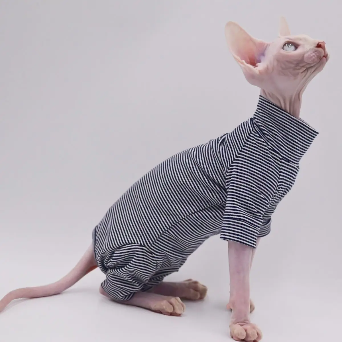 Sphynx ropa para gatos ocio raya 4 patas algodón cómodo sin pelo trajes para gatos suave invierno cálido Devon Kornish ropa para gatos