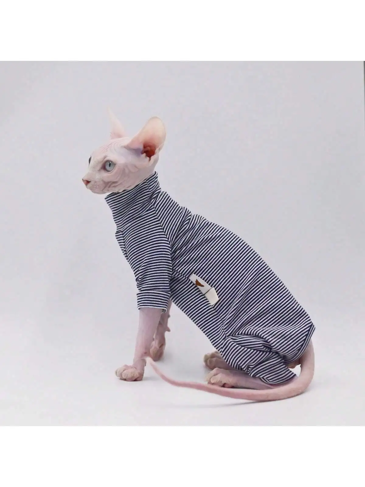 Sphynx ropa para gatos ocio raya 4 patas algodón cómodo sin pelo trajes para gatos suave invierno cálido Devon Kornish ropa para gatos